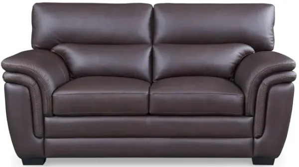 Arizona Leather Loveseat