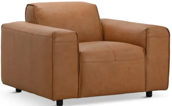 Robbins Leather Chair