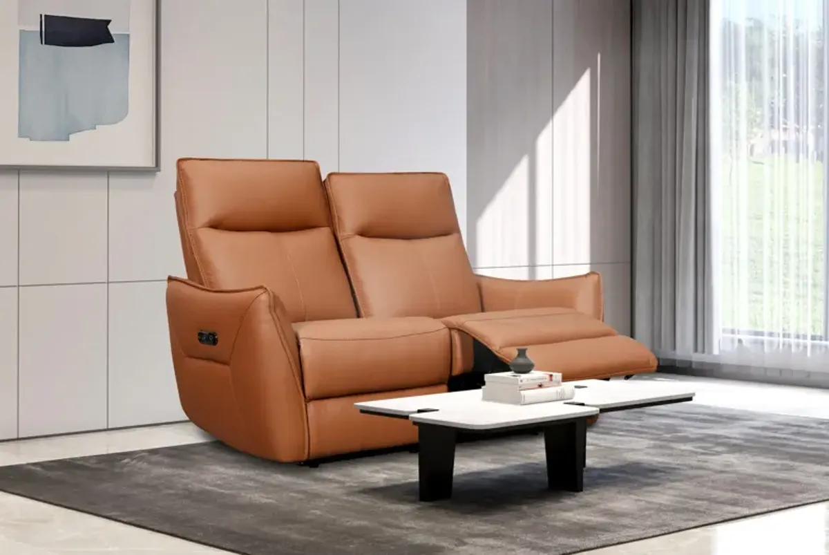 Vanessa Leather Power Reclining Loveseat