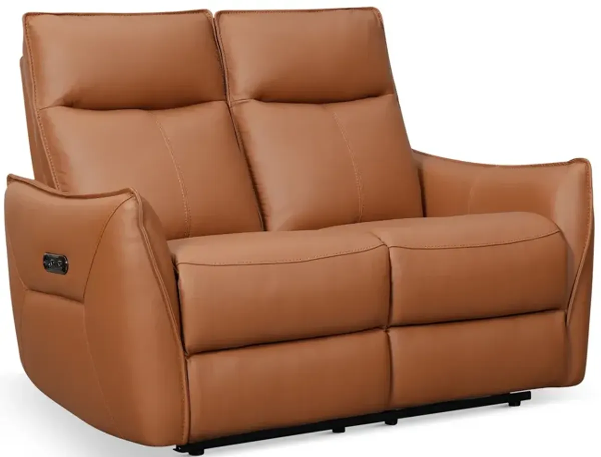 Vanessa Leather Power Reclining Loveseat