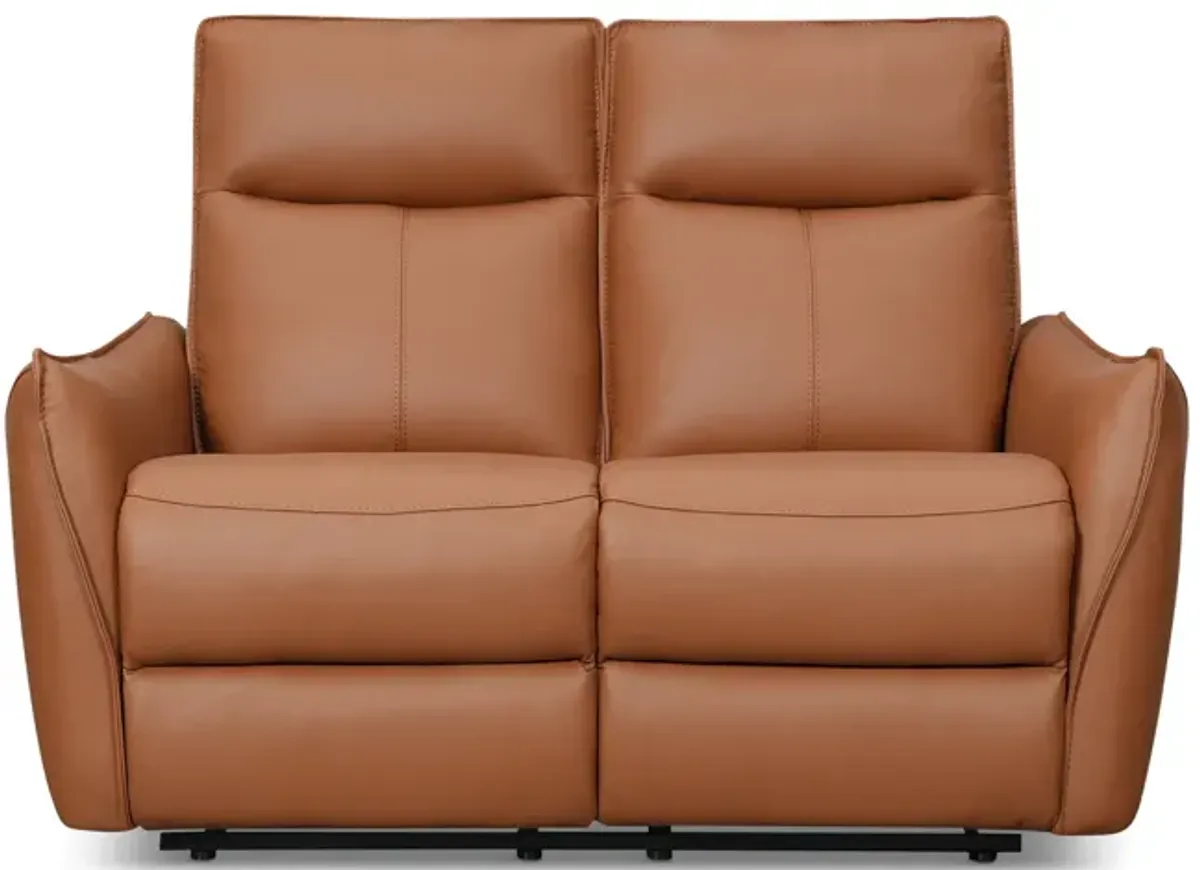 Vanessa Leather Power Reclining Loveseat