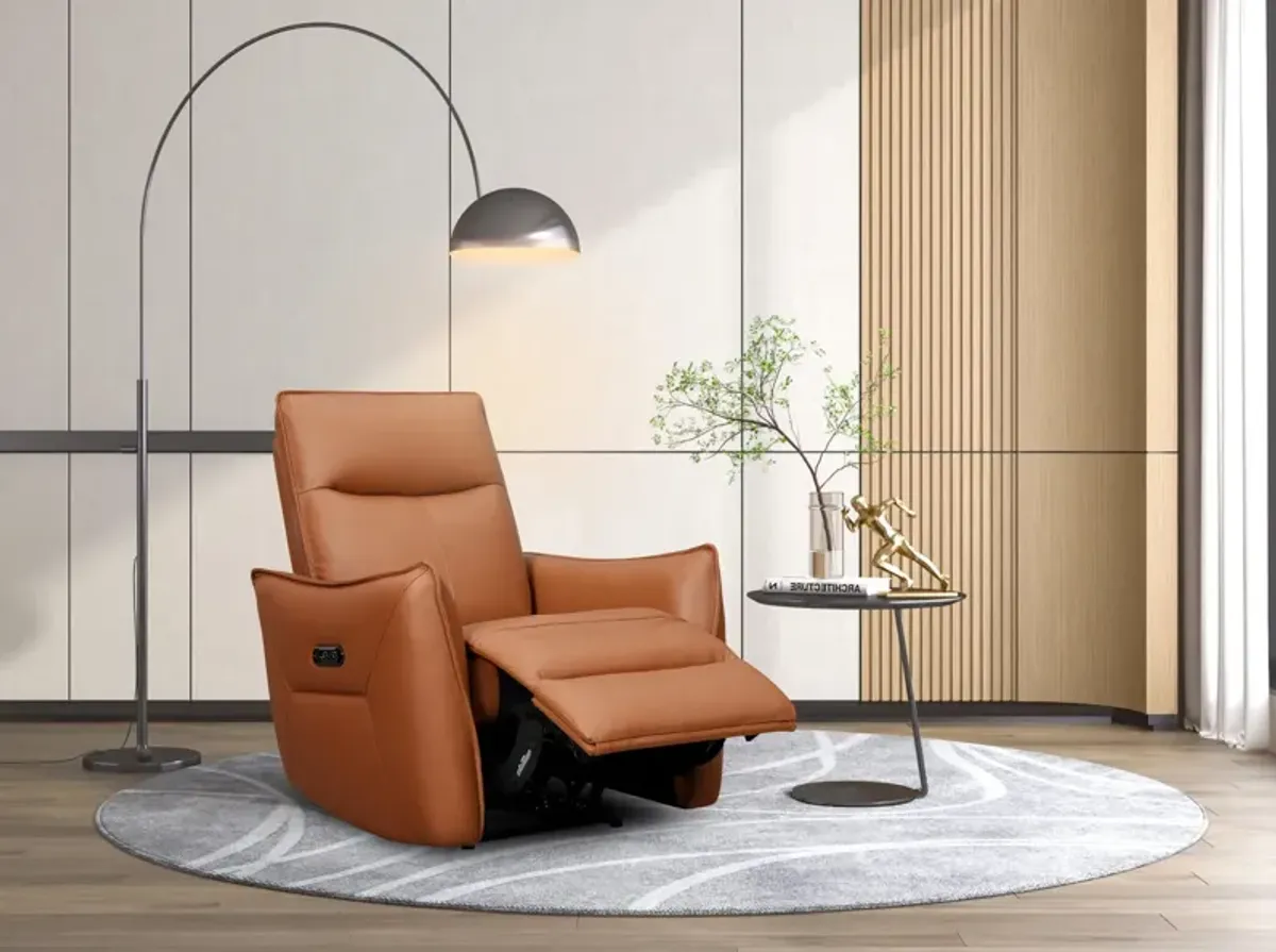 Vanessa Leather Power Recliner