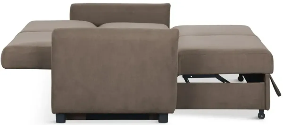 Priscilla Convertible Sleeper Sofa - Chocolate