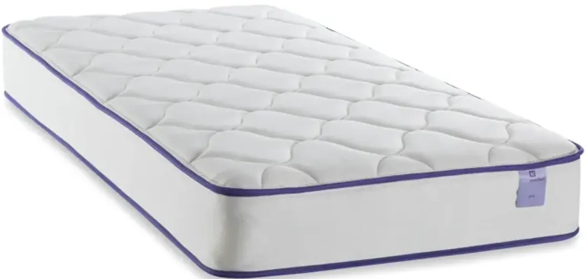 Ava Queen Mattress