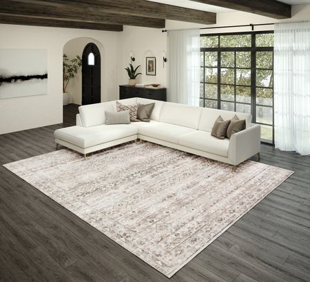 Rhodes Taupe Area Rug - 5 1  X 7 5 