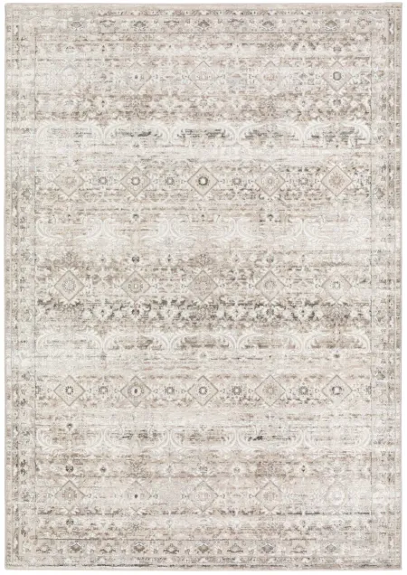 Rhodes Taupe Area Rug - 5 1  X 7 5 