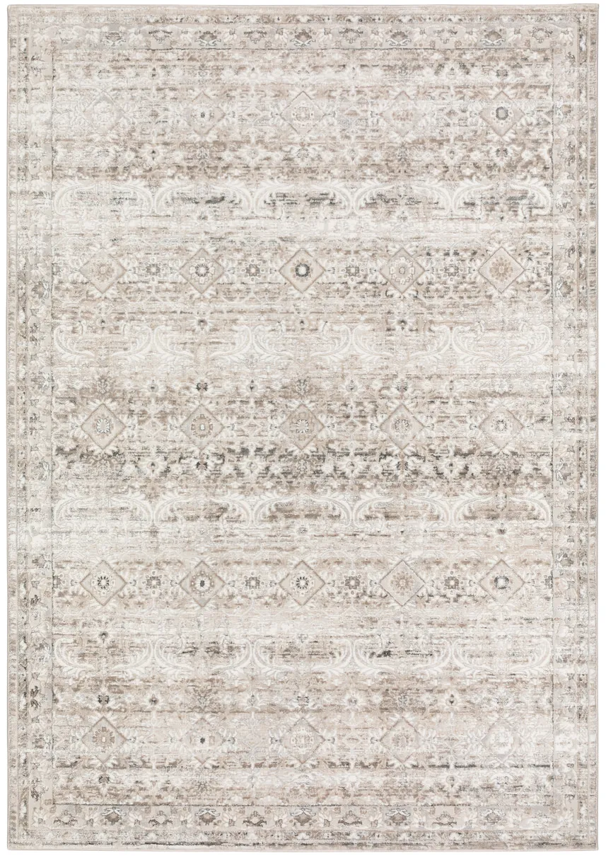 Rhodes Taupe Area Rug - 7 10  X 10 10 