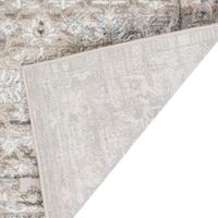 Rhodes Taupe Area Rug - 7 10  X 10 10 