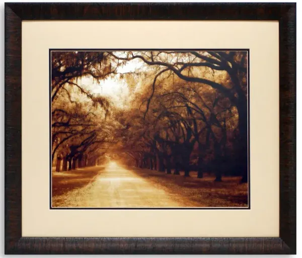 Box Framed Art Assortment - Black   White Photography