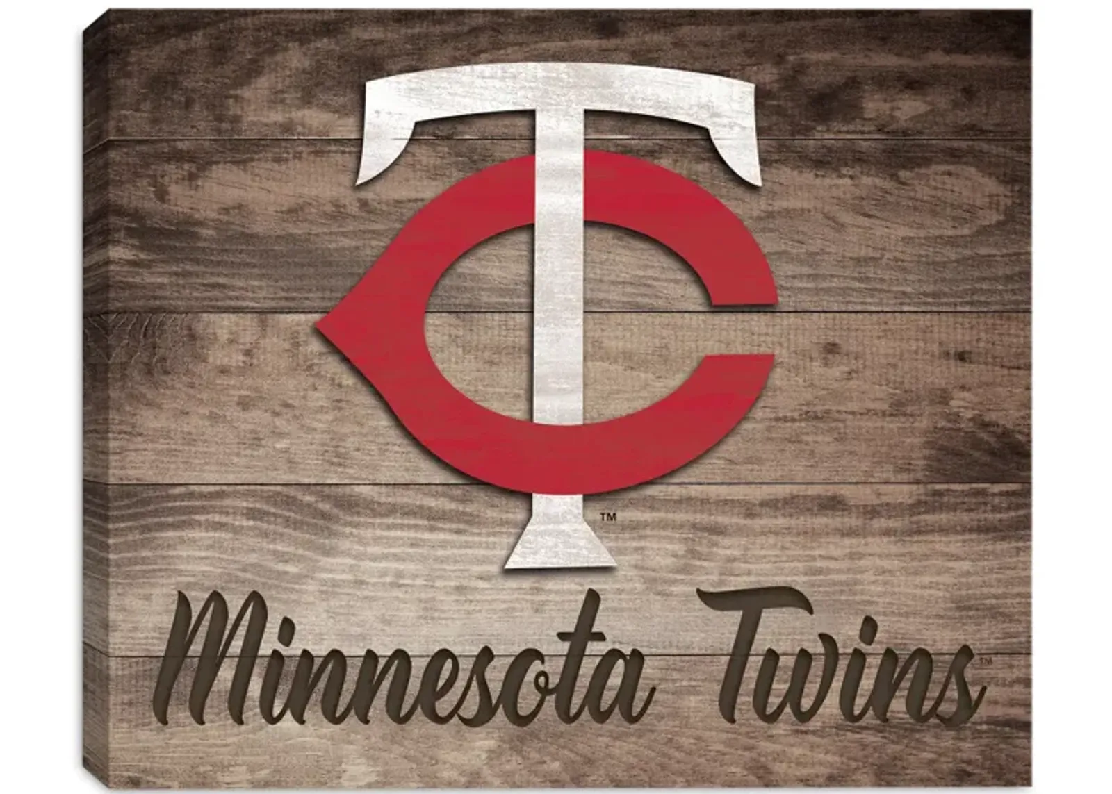 Twins Logo Plank Canvas Art