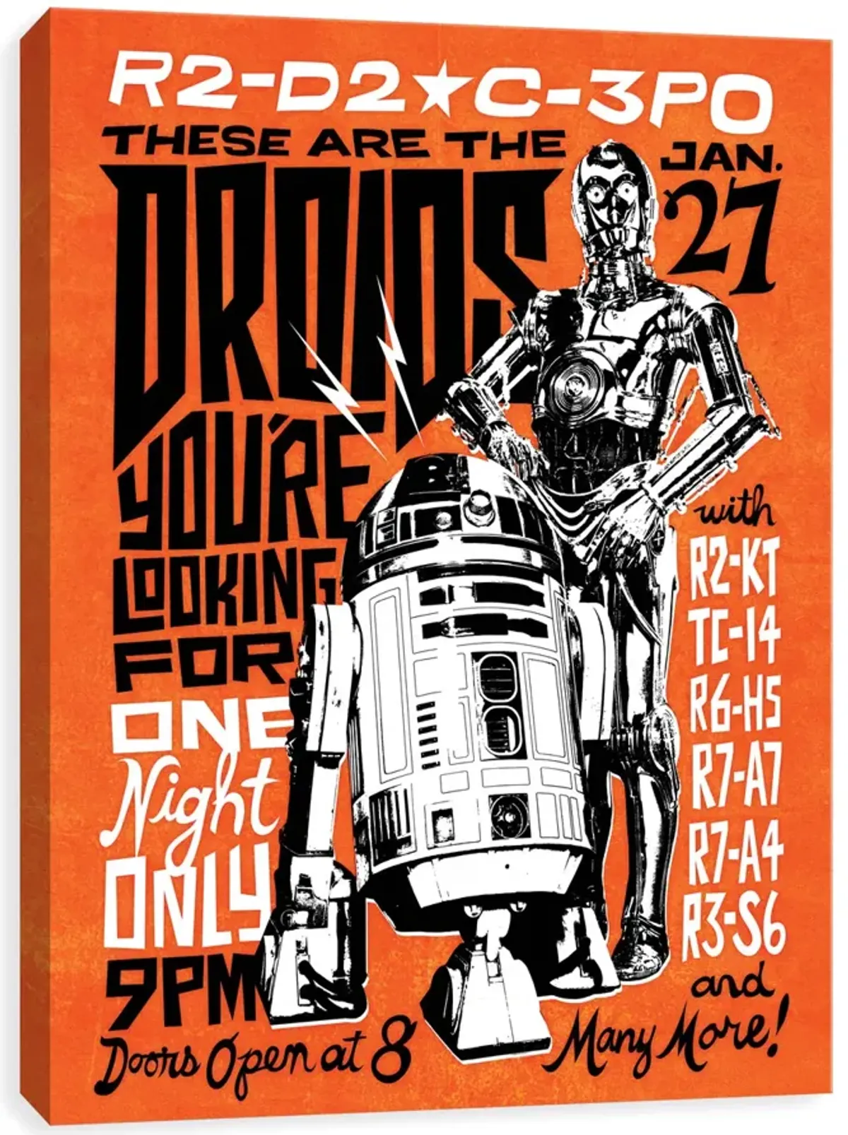 Droids Poster Canvas Art