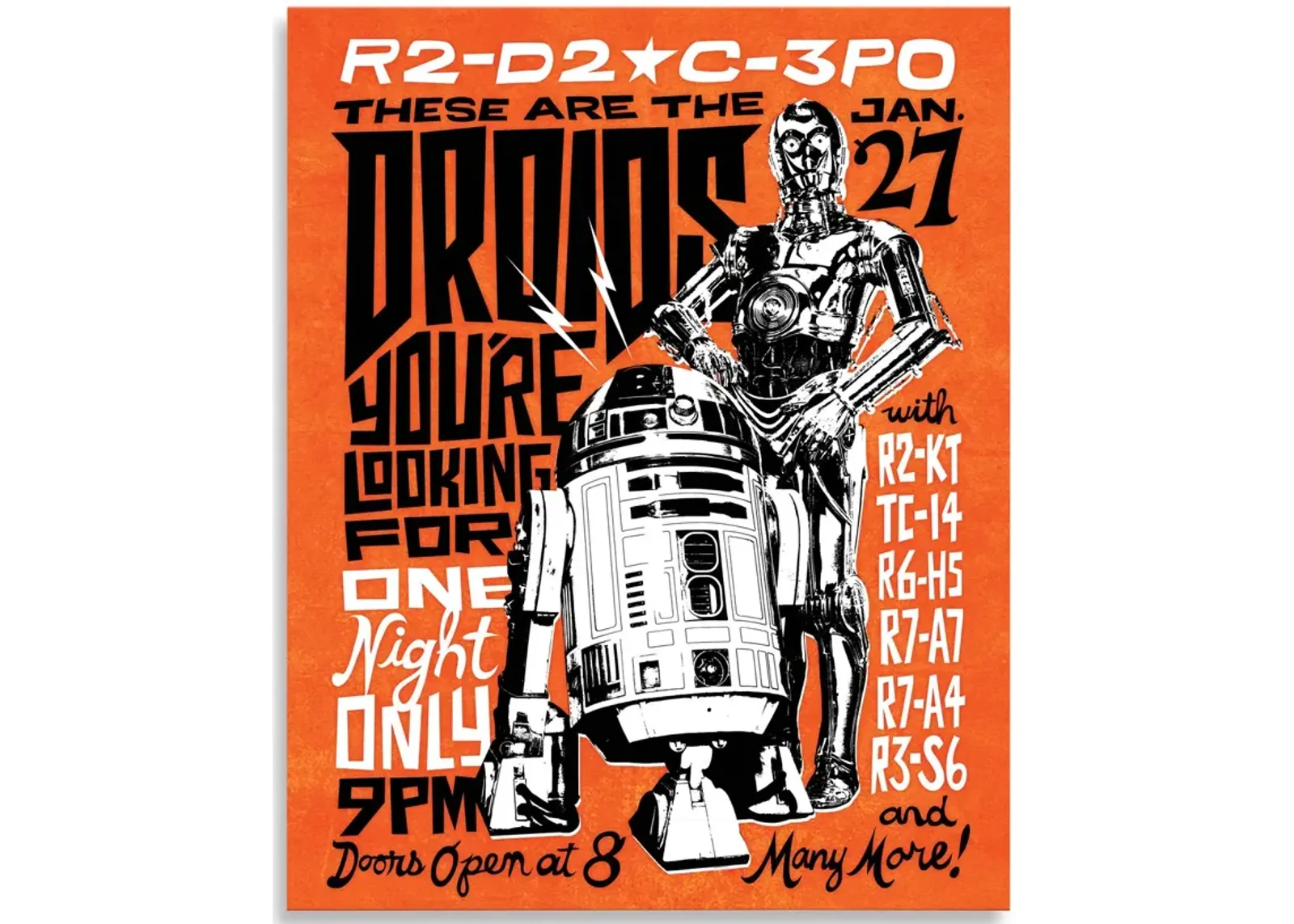 Droids Poster Canvas Art