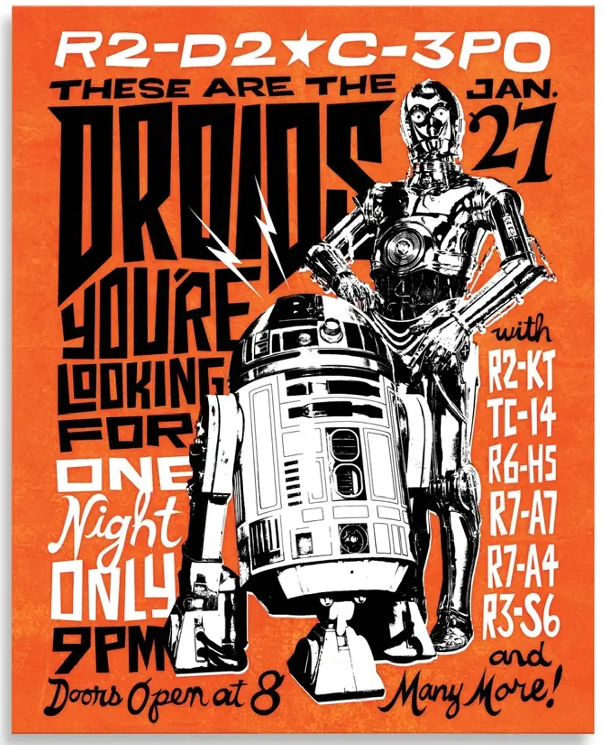 Droids Poster Canvas Art