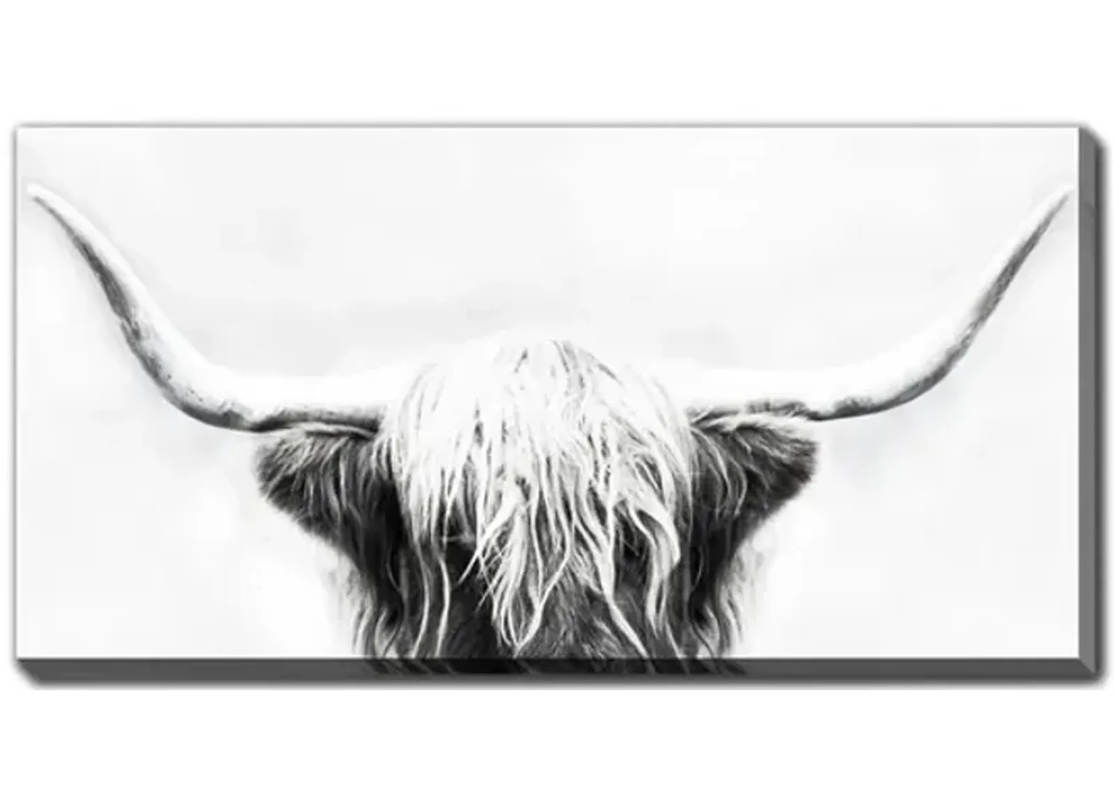 Shaggy The Longhorn Canvas Art