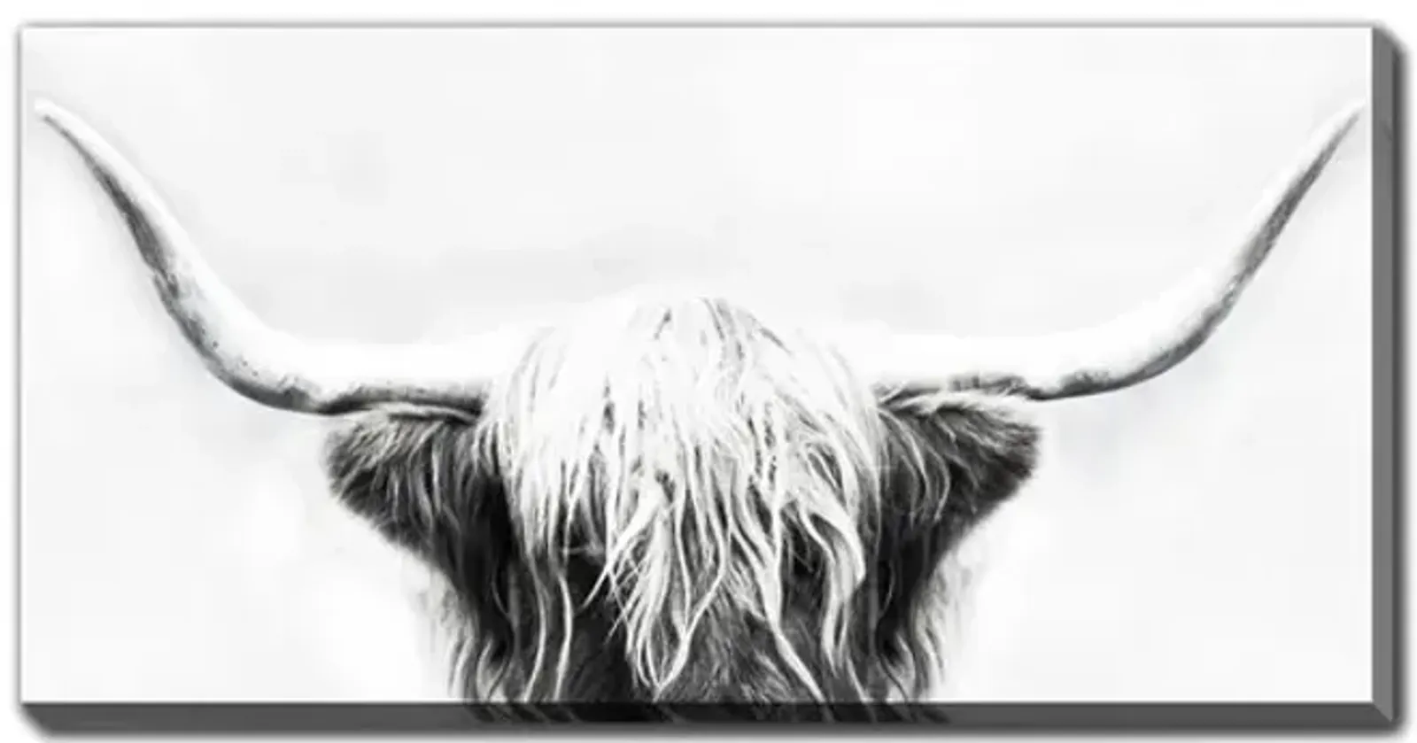 Shaggy The Longhorn Canvas Art