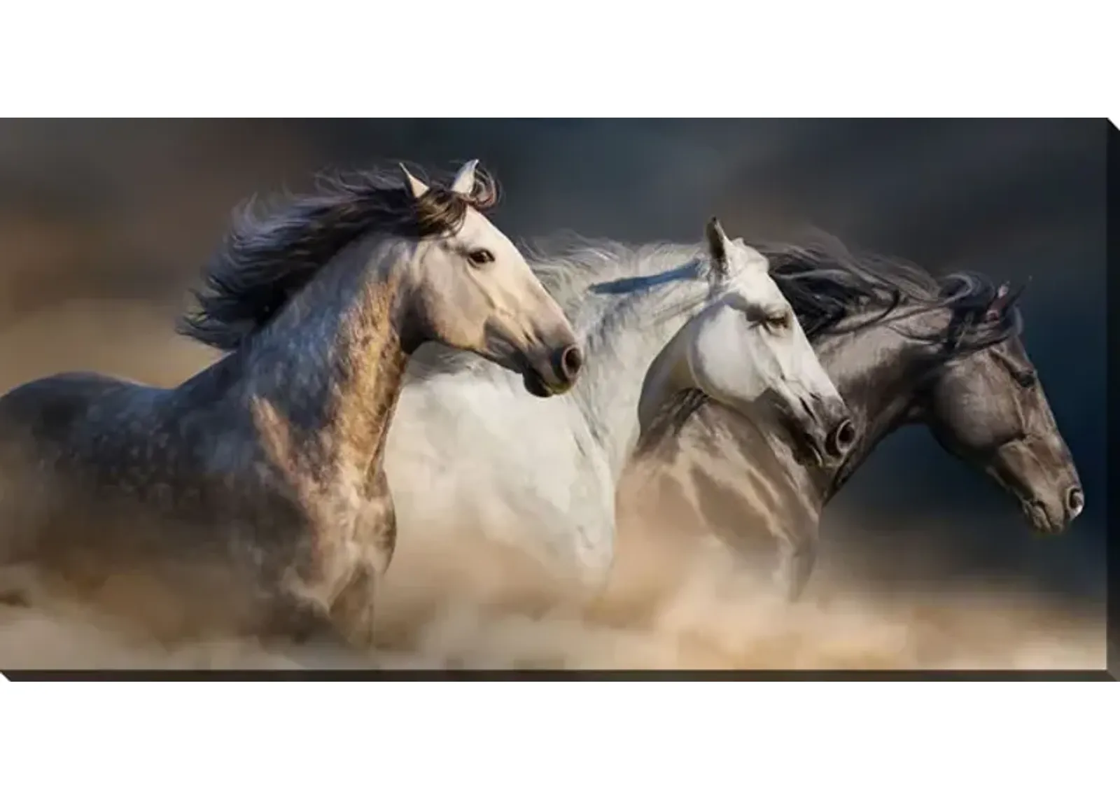 Gallop In The Dust Canvas Art