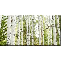 Birch Forest Panel Canvas Art