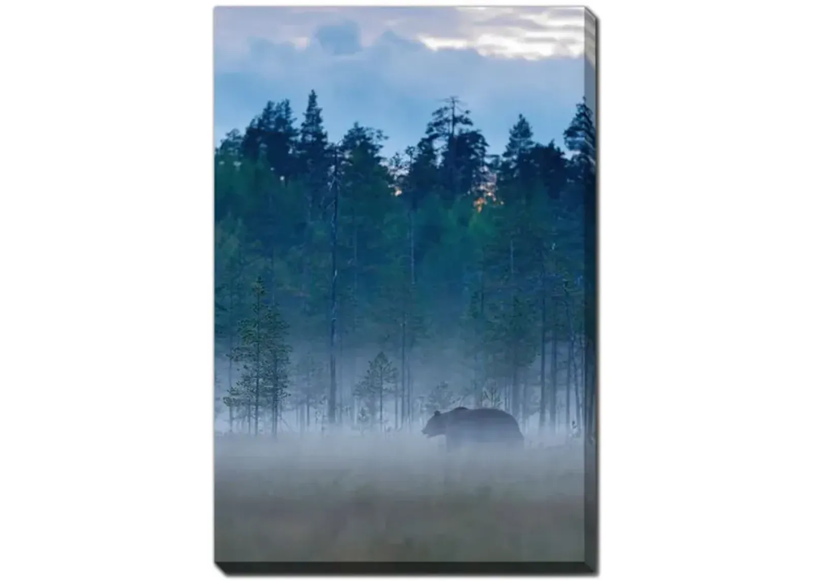 Foggy Forest Canvas Art