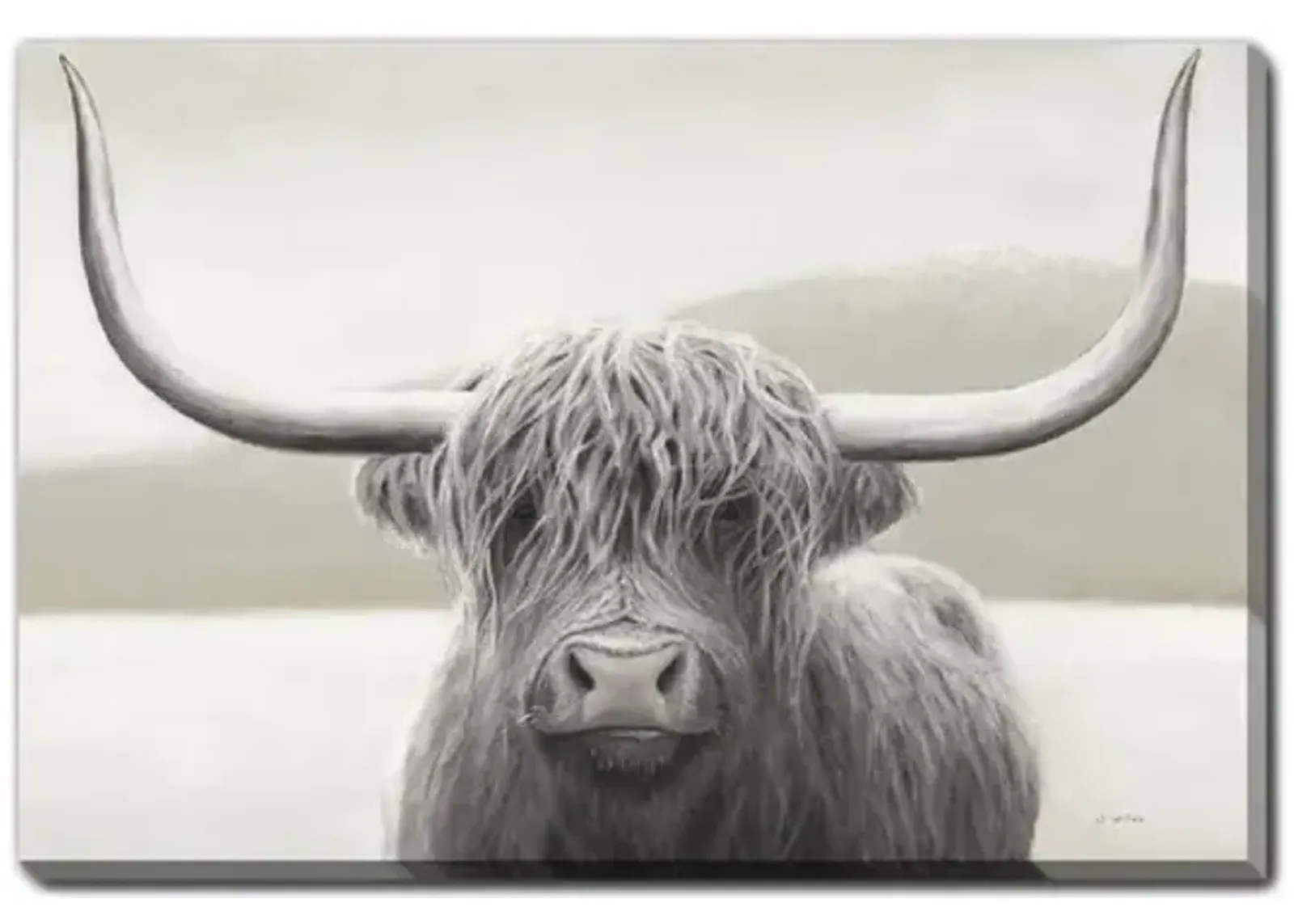 Highland Cow Canvas Art