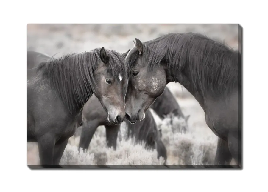 Wild Horses Canvas Art