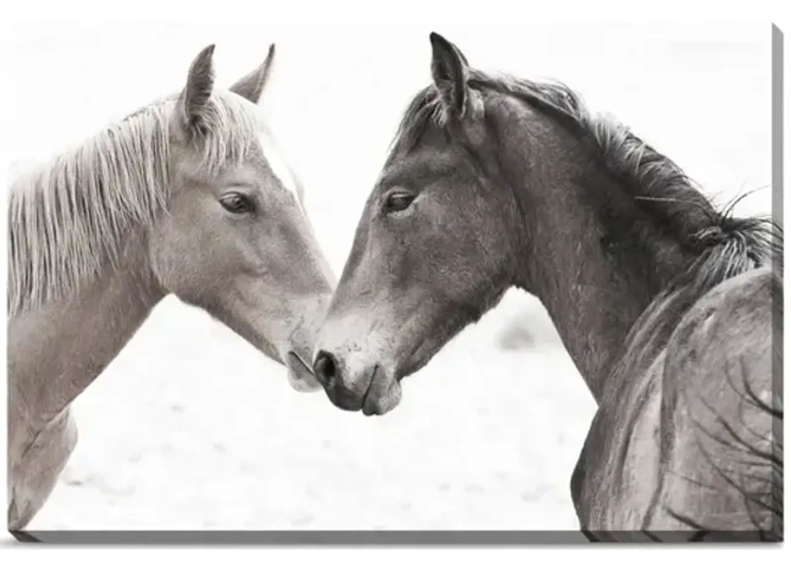 Gentle Herd Canvas Art