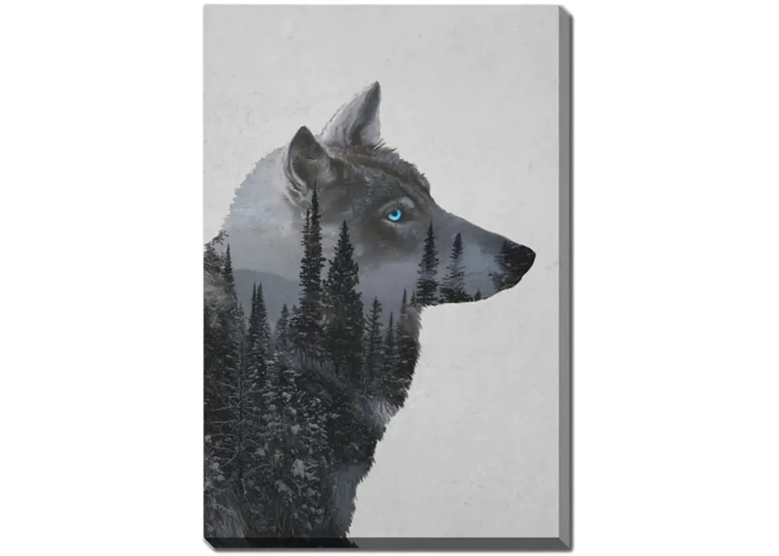 Winter Wolf Canvas Art