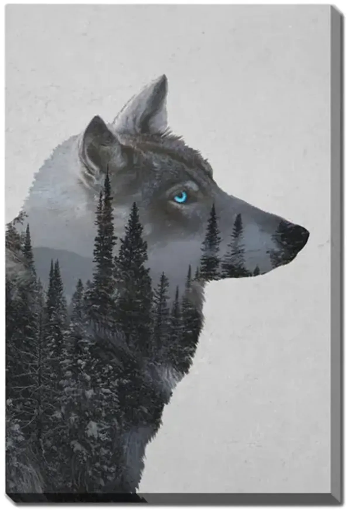 Winter Wolf Canvas Art