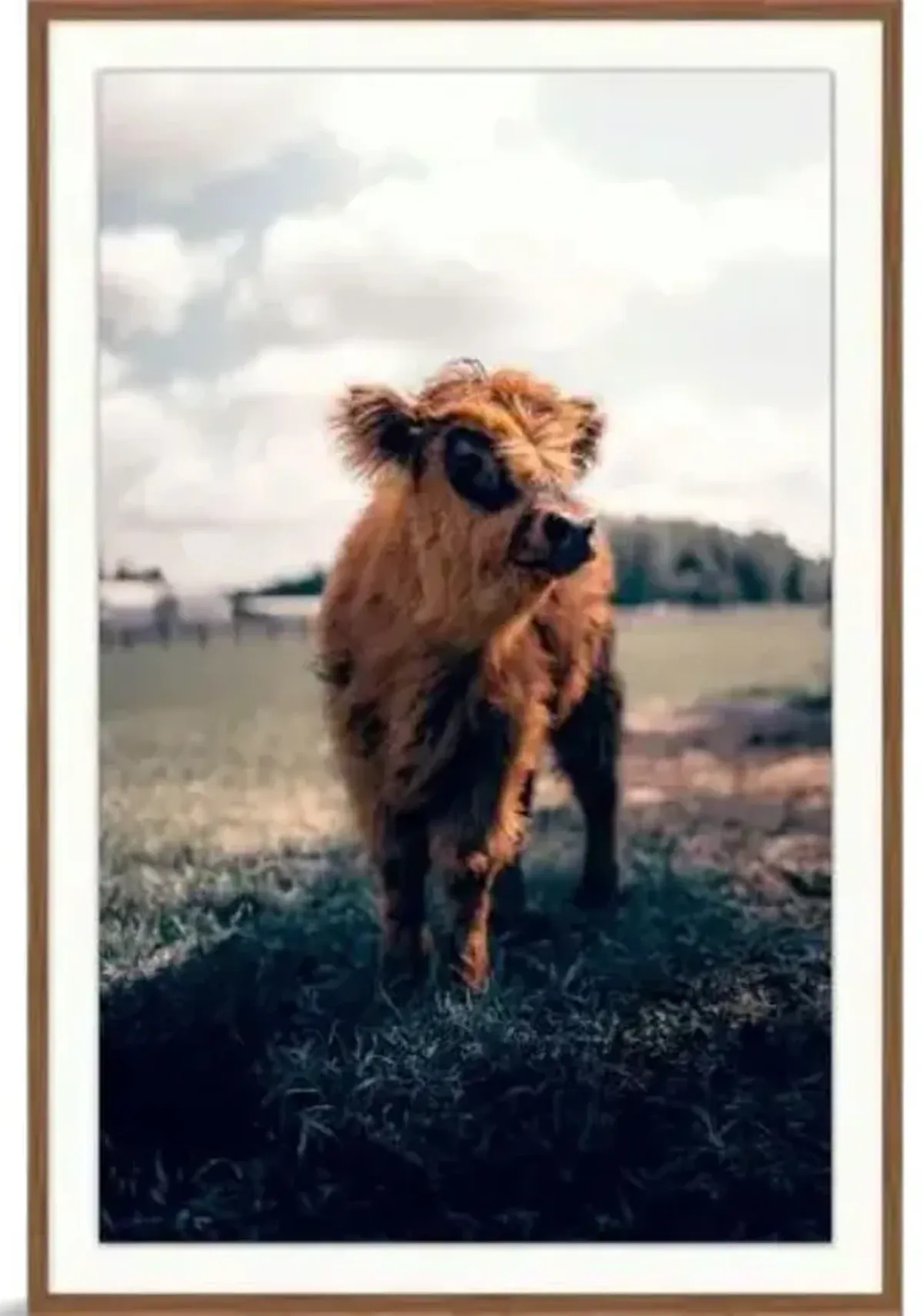 Innocent Gaze Framed Art