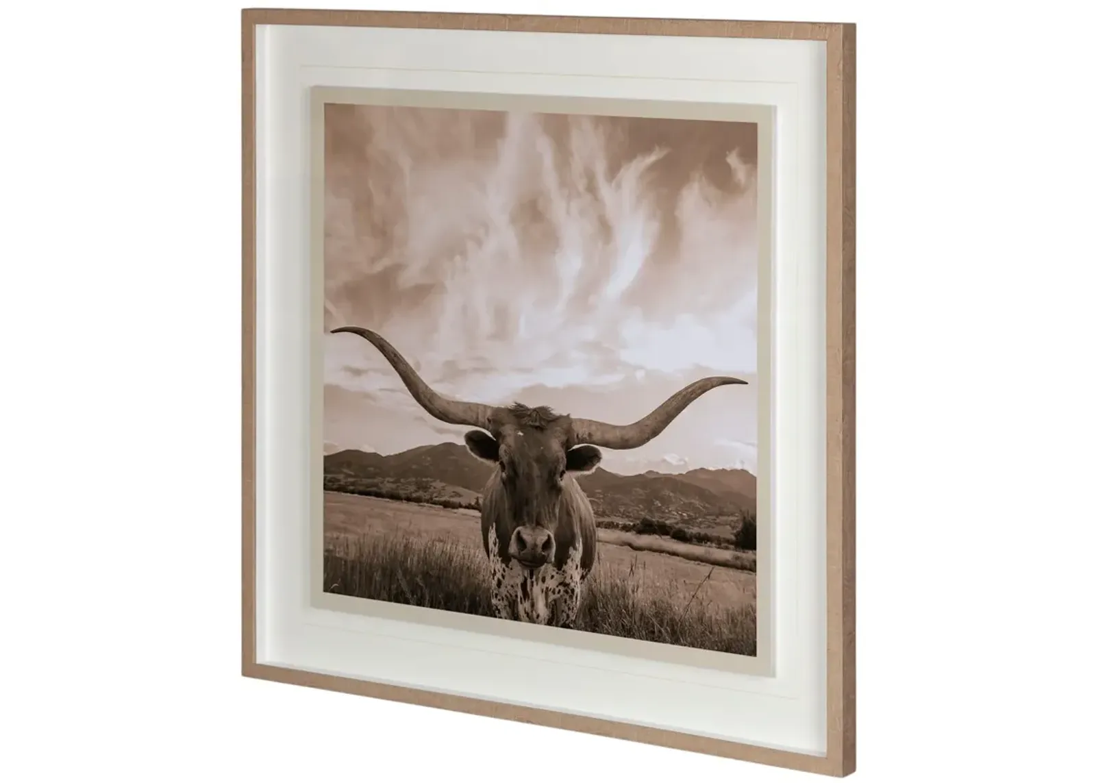 Longhorn Framed Art