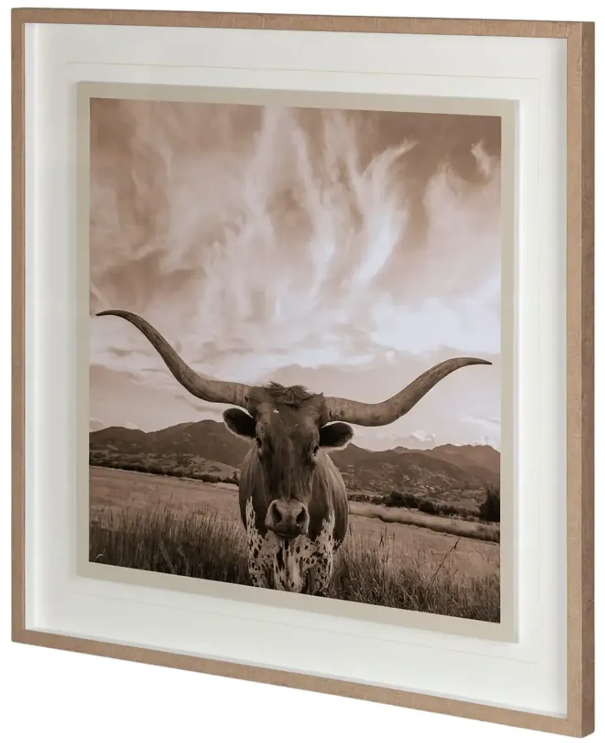 Longhorn Framed Art