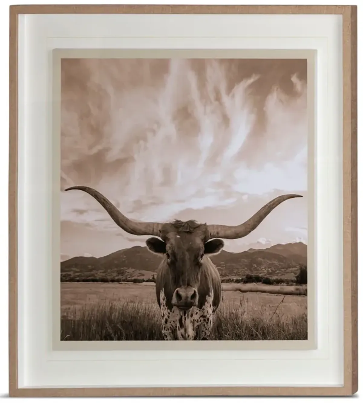 Longhorn Framed Art