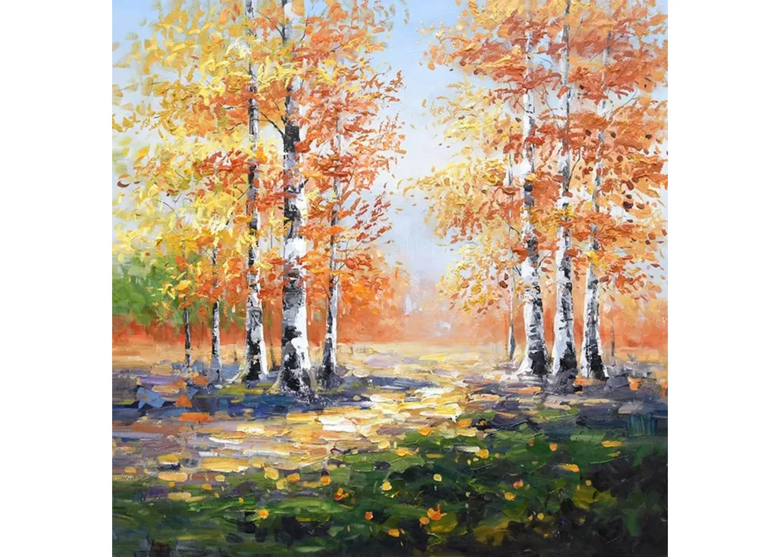 Fall Birch Trees Canvas Art