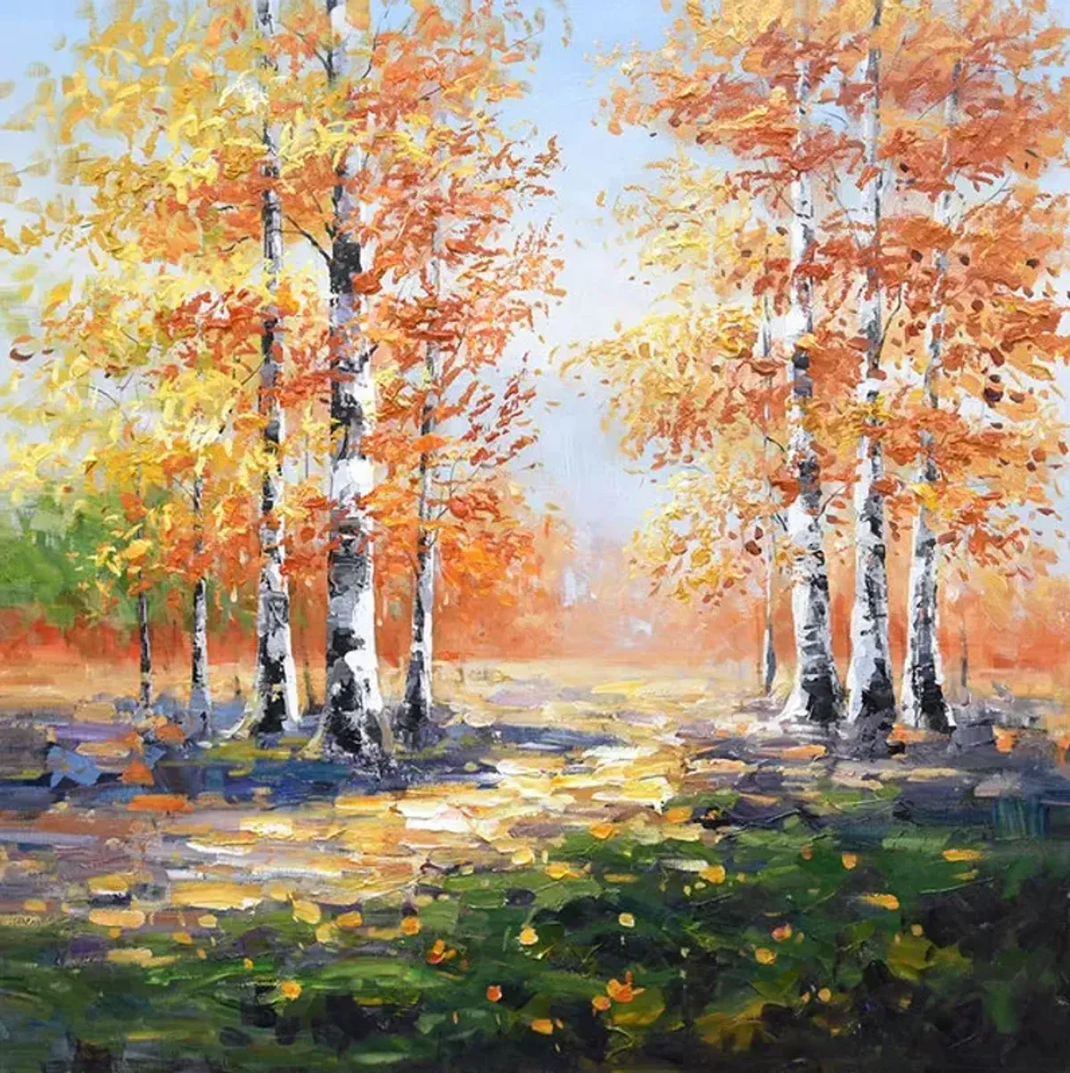 Fall Birch Trees Canvas Art