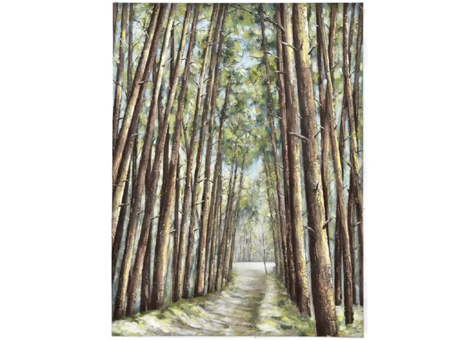 Summer Woods Canvas Art