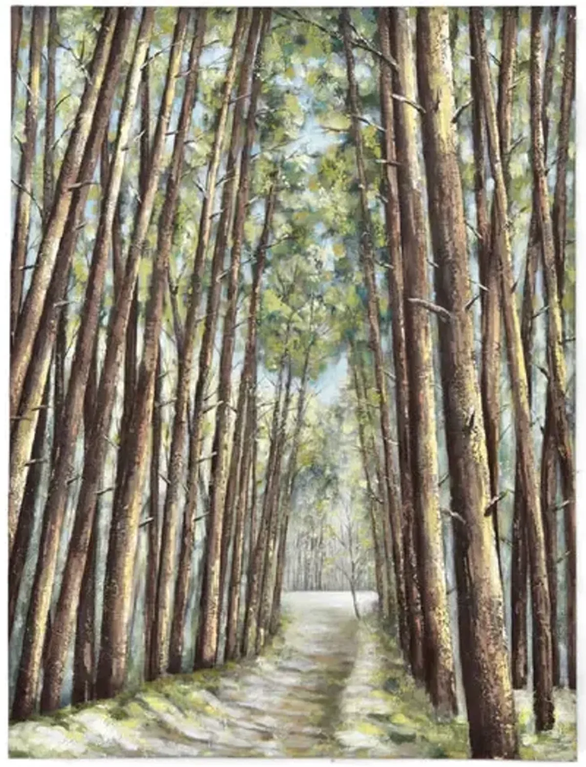 Summer Woods Canvas Art