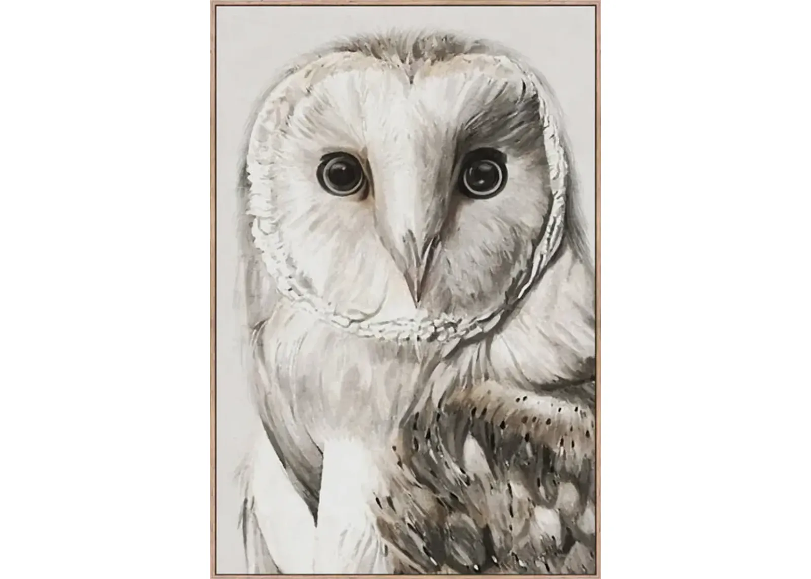 Owen The Owl Framed Art