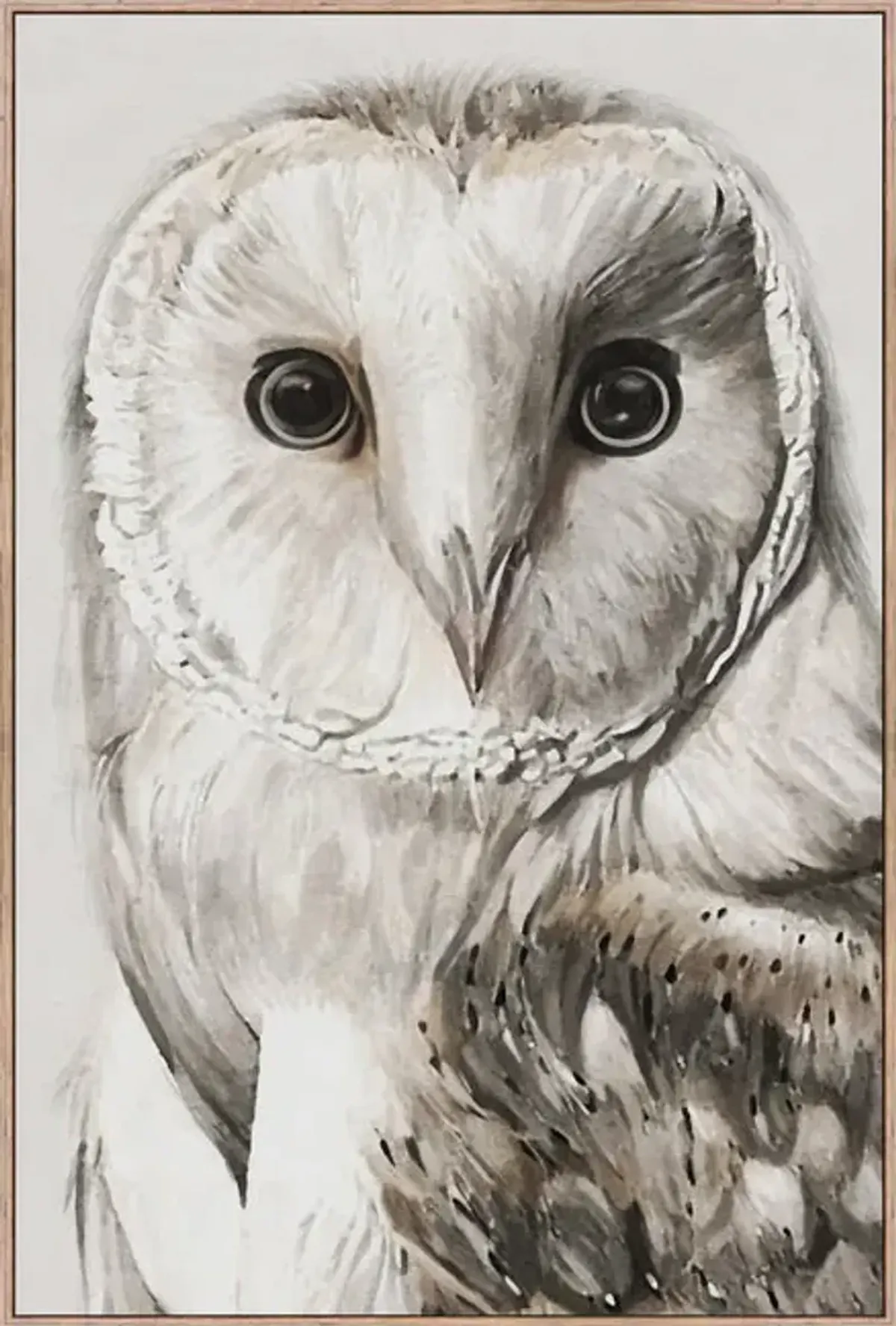 Owen The Owl Framed Art