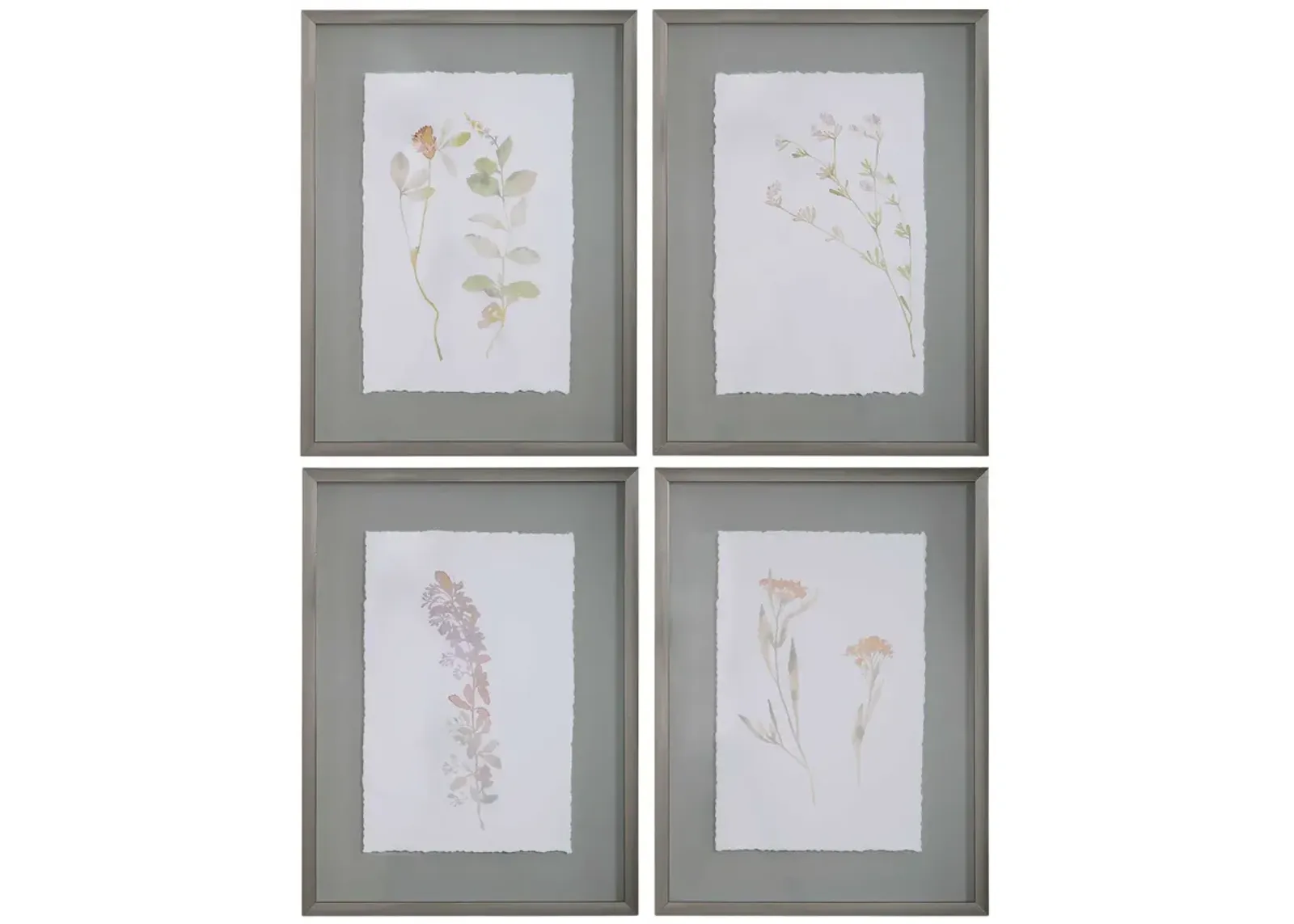 Flourish Framed Prints - Set of 4