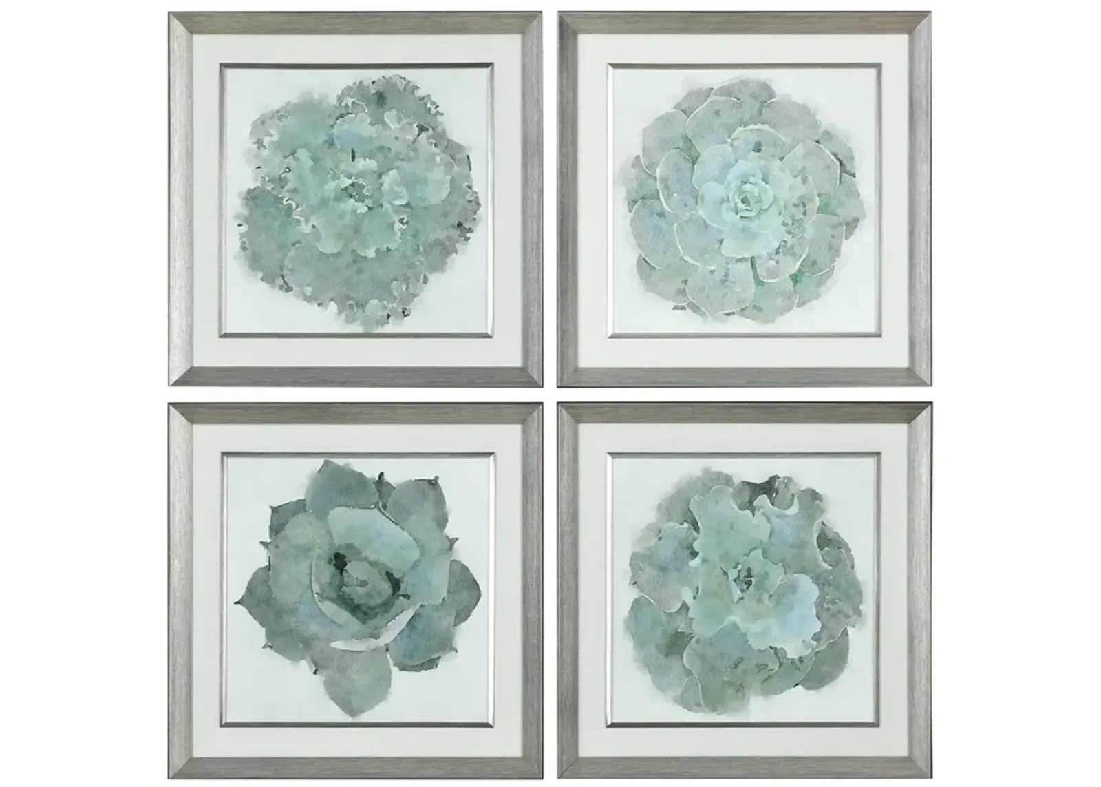 Natural Beauties Framed Prints - Set of 4