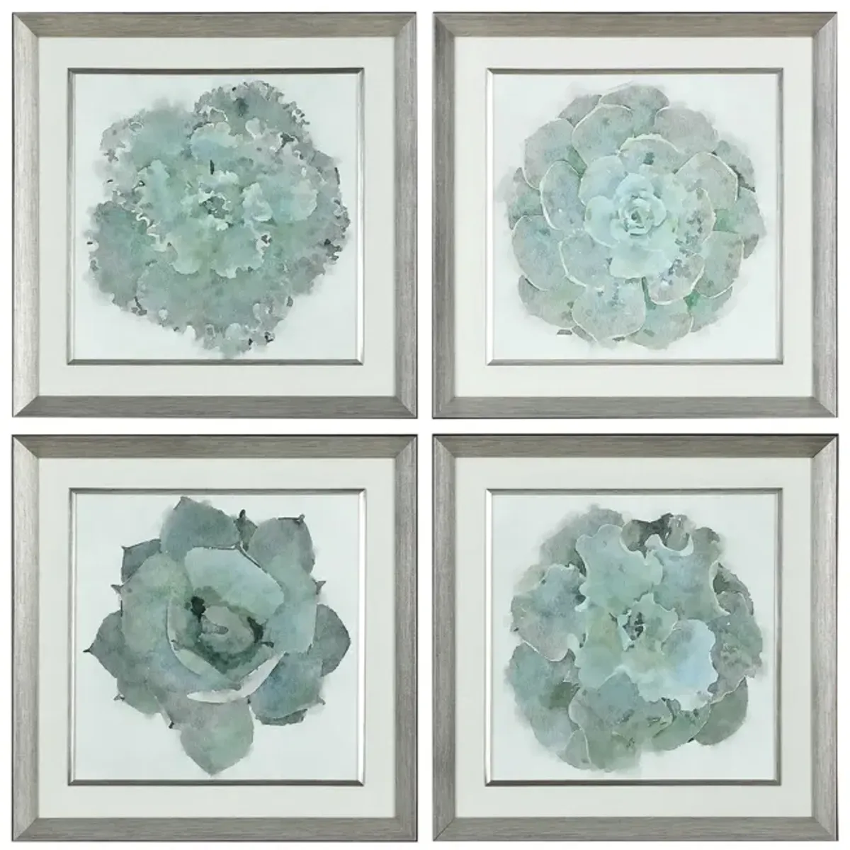 Natural Beauties Framed Prints - Set of 4