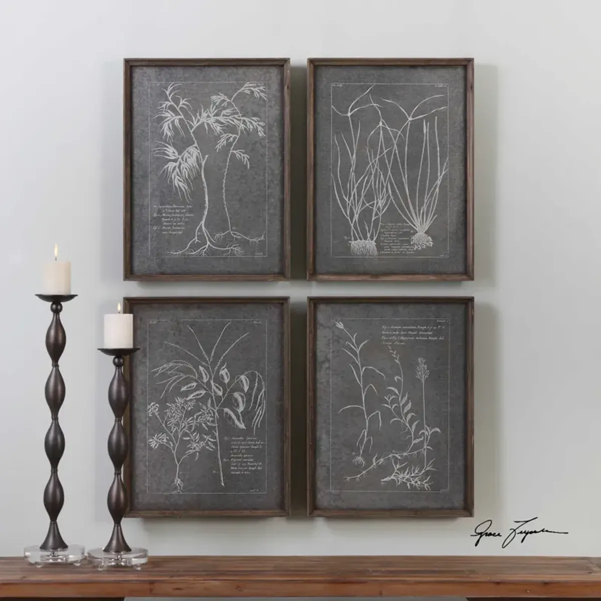 Root Study Framed Prints  Set of 4