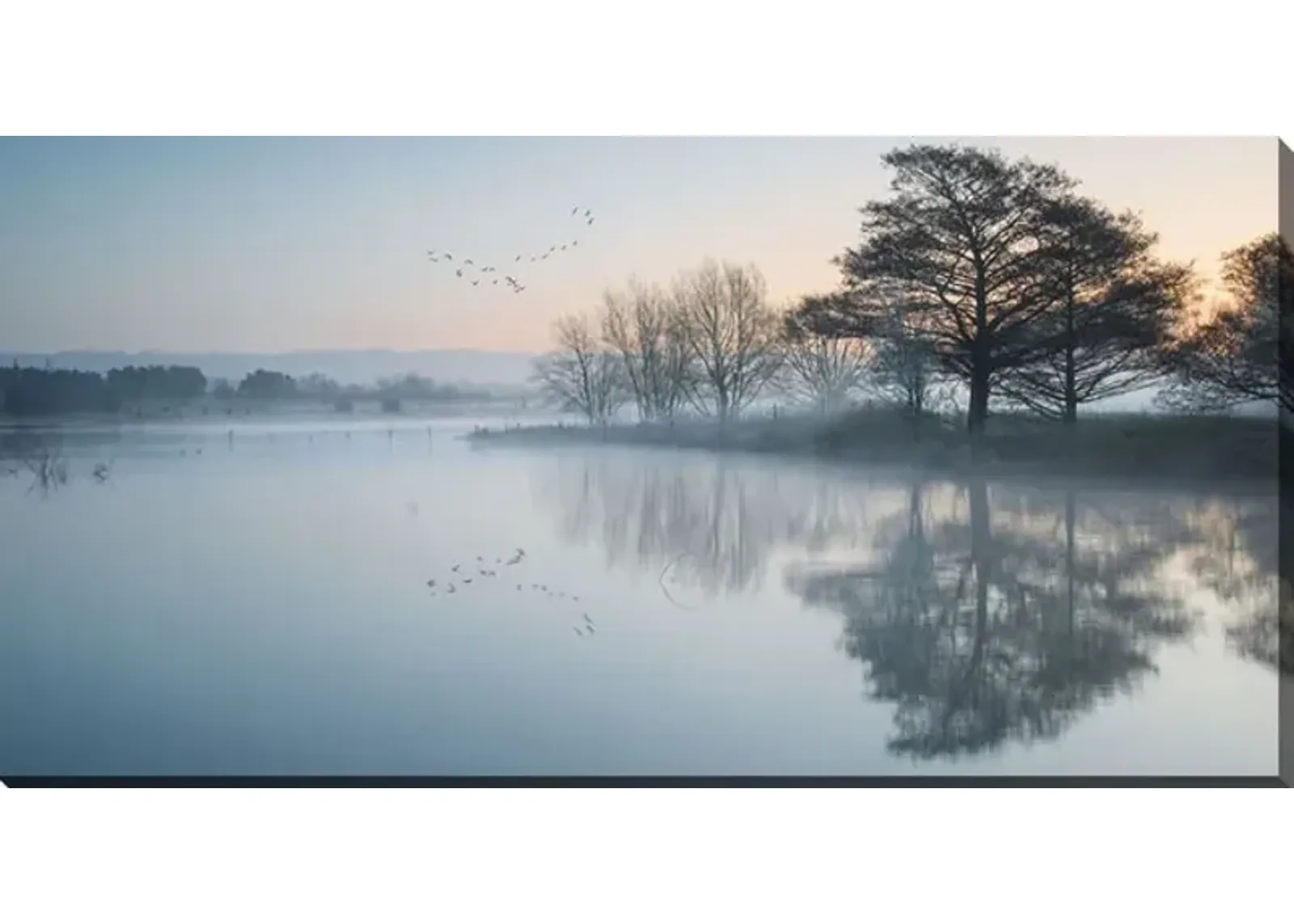 Lake In The Mist Canvas Art