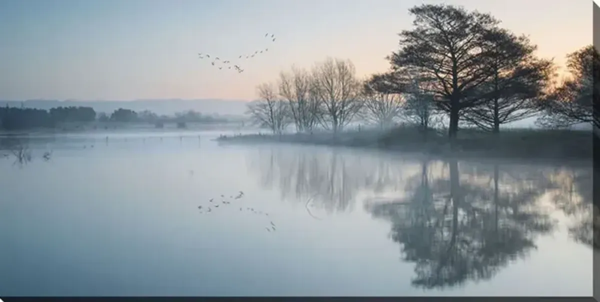 Lake In The Mist Canvas Art