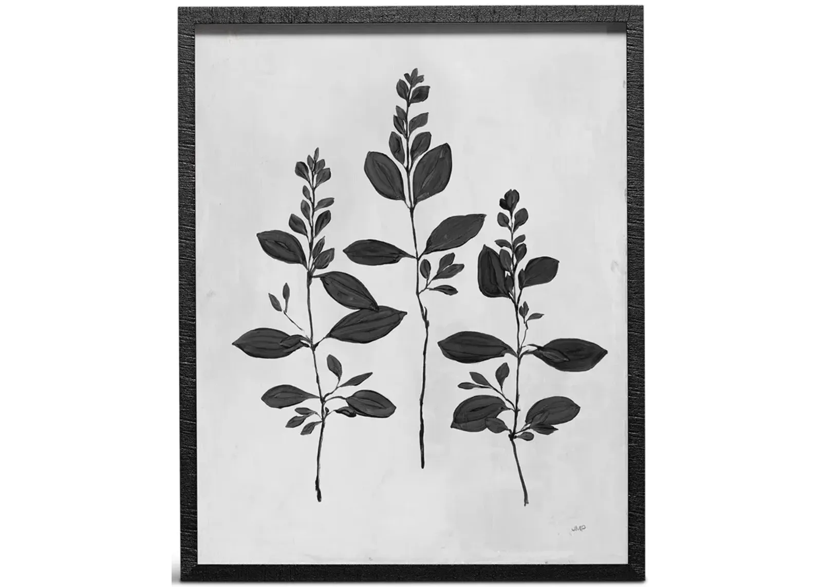 Botanical Study IV Framed Art