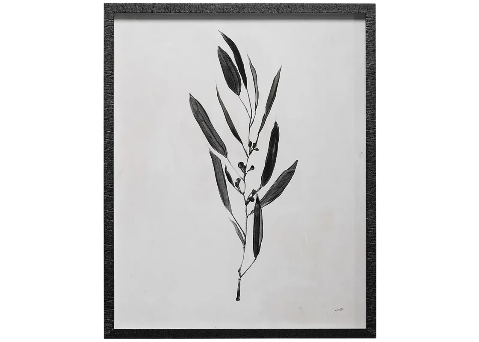 Botanical Study I Framed Art