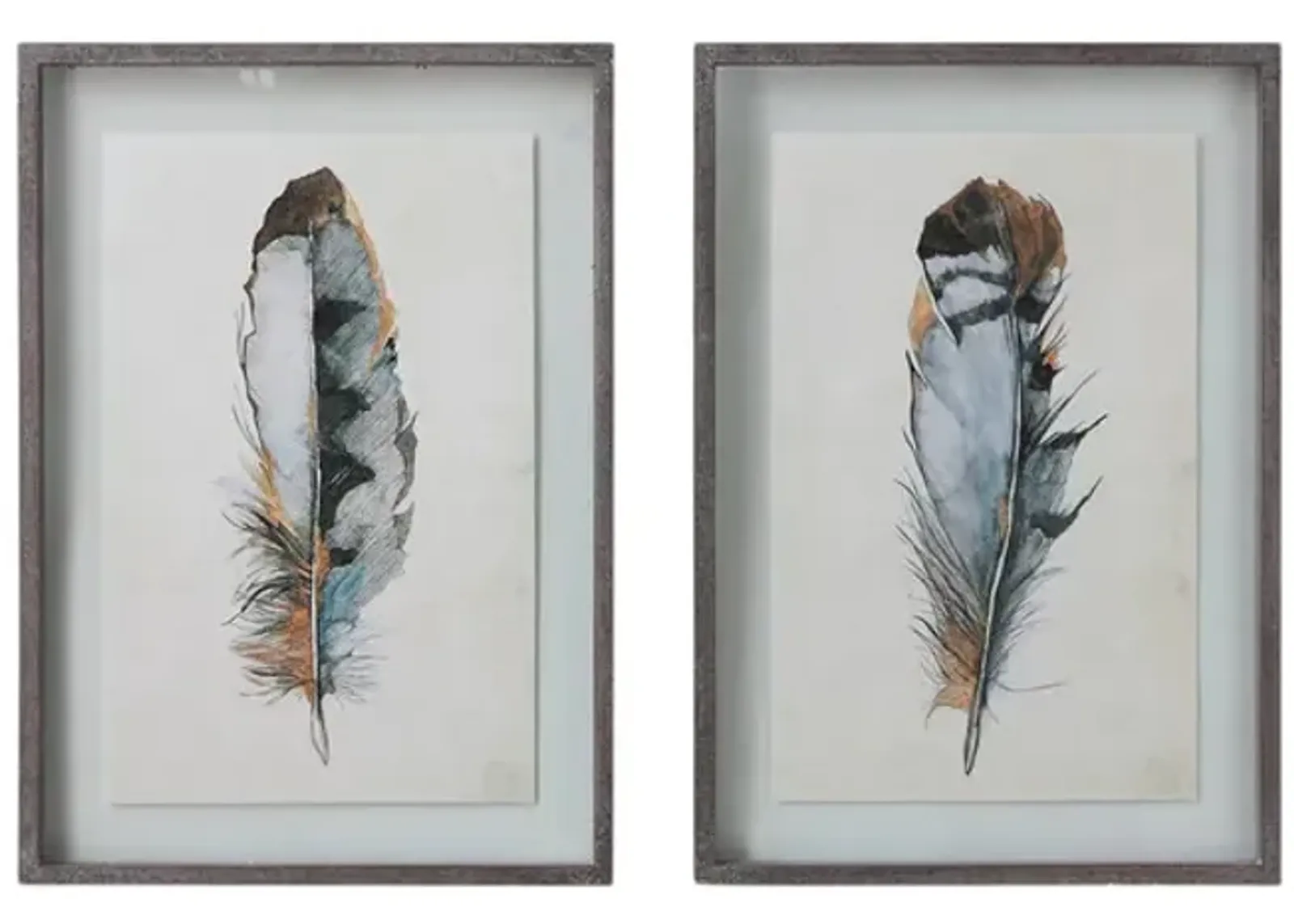 Assorted Feather Assorted Framed Art