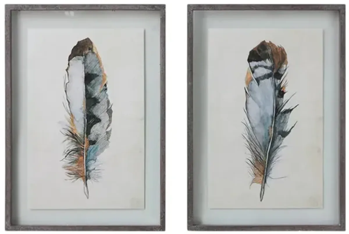 Assorted Feather Assorted Framed Art