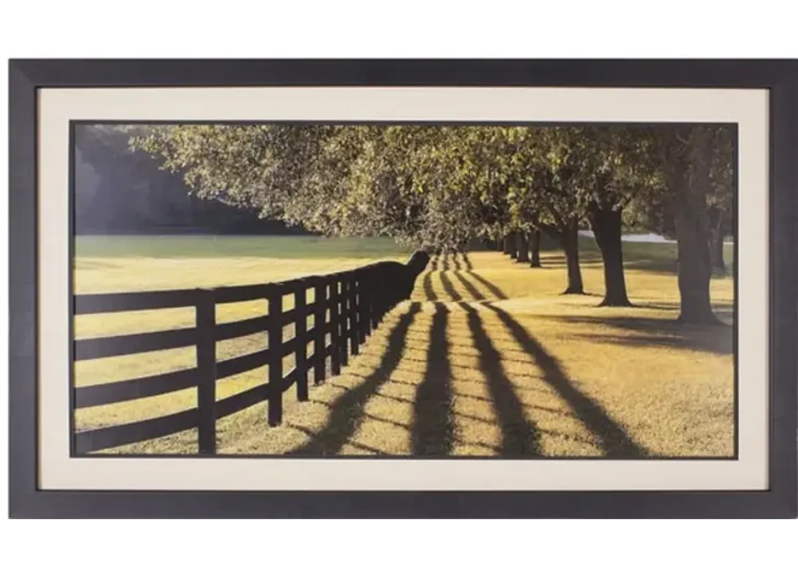 Chasing Shadows Framed Art