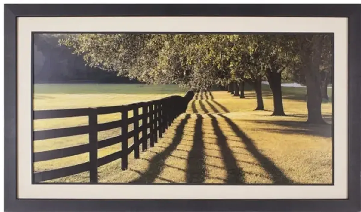 Chasing Shadows Framed Art