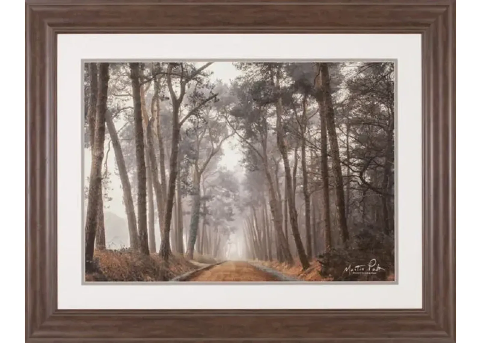 Path of Pines Framed Art